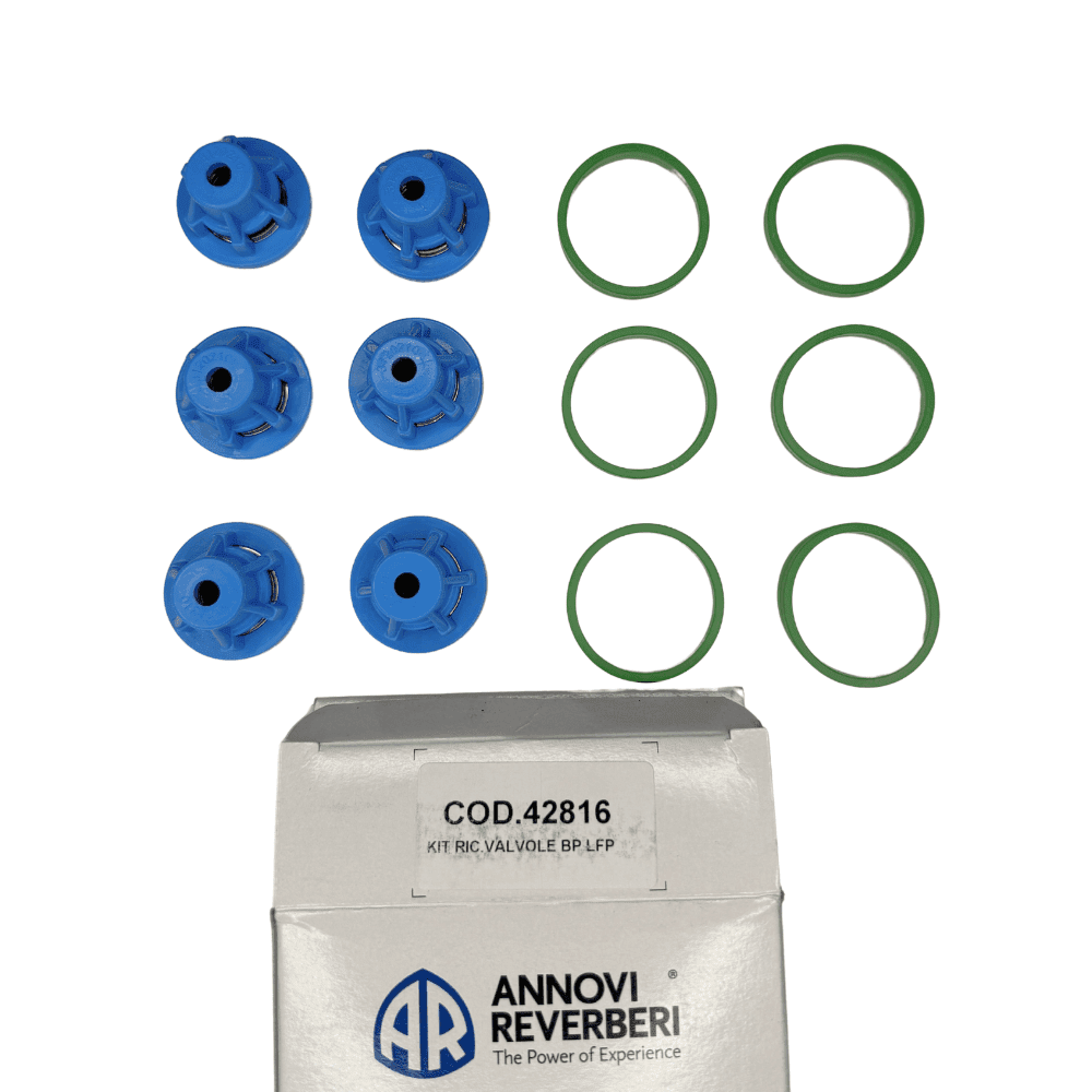 AR45 Check Valve Kit