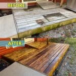 Wood Doctor - Image 3